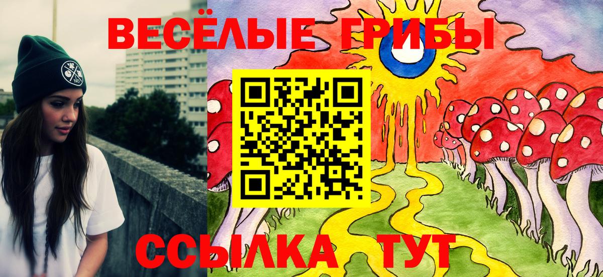 Псилоцибиновые грибы GOLDEN TEACHER Губкин