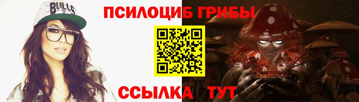 Губкин  Псилоцибиновые грибы MAGIC MUSHROOMS  даркнет сайт  Вход с VPN  Псилоцибиновые грибы Magic Shrooms 